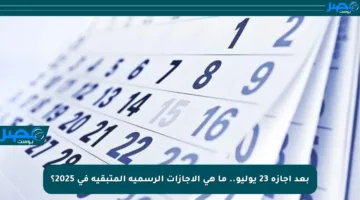 بعد إجازة 23 يوليو.. ما هي الإجازات الرسمية المتبقية في 2025؟